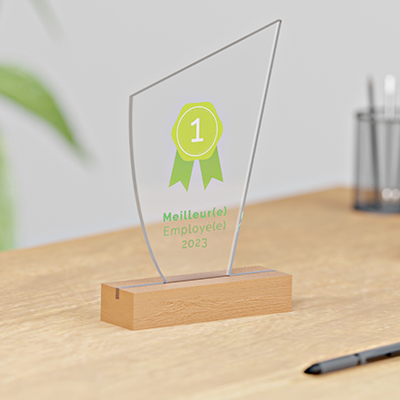 Trophée Humoristique En Bois Pour Quiz De Pub - Cuillère Gravée "Booby Prize" - Cadeau Décalé Pour Perdant - 6