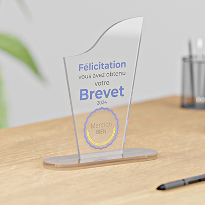 Trophée En Cristal K9 5A Personnalisé – Gravure UV De Texte, Logo Ou Photo, 21 Ou 24cm, Pour Entreprise Et Sport